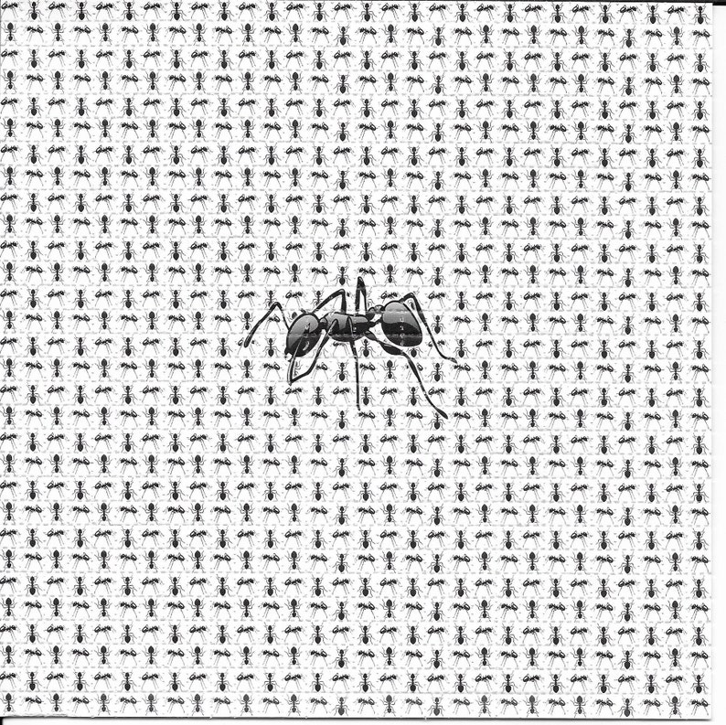 Ink Blotter Paper - Formigas, animales psicodélicos LSD, secante sin
