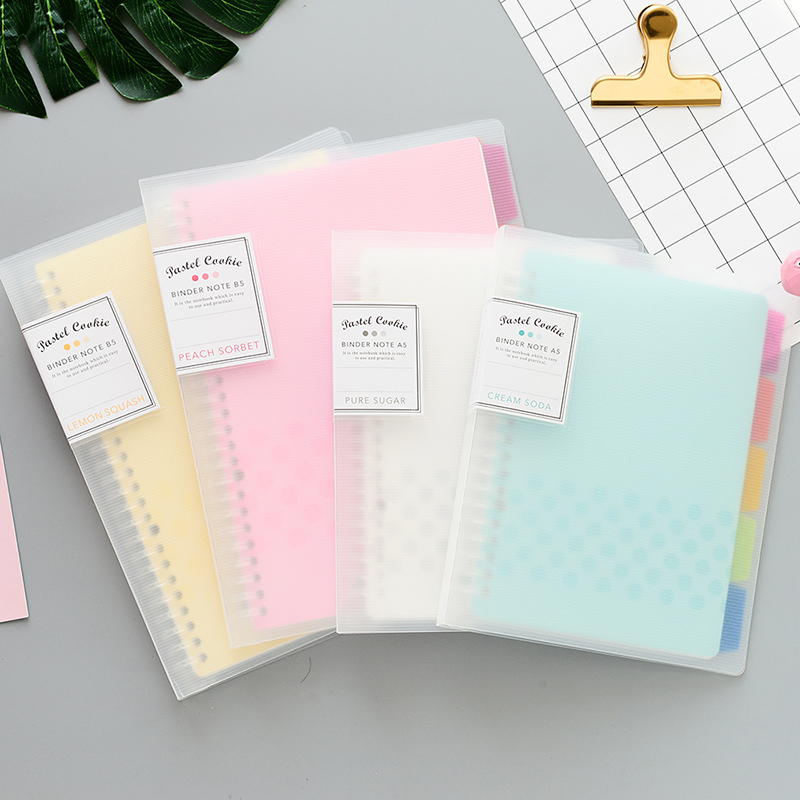 KOKUYO-Cuaderno de hojas suelt - Binder A4 Lever reseña y precio