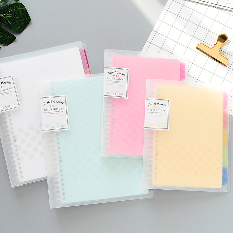 KOKUYO-Cuaderno de hojas suelt - Binder A4 Lever reseña y precio